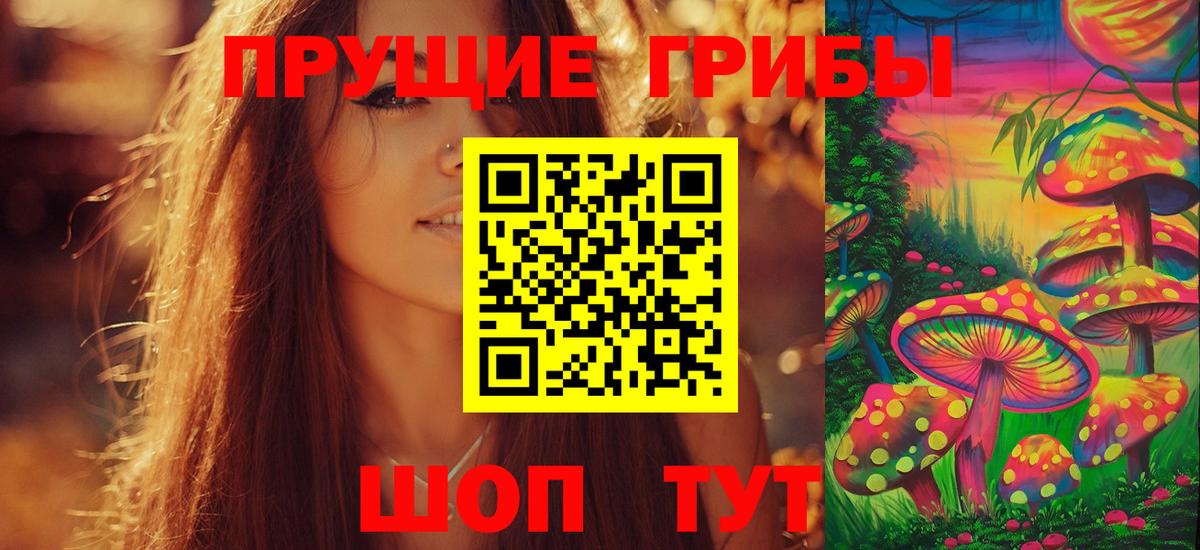 Псилоцибиновые грибы прущие грибы Кызыл