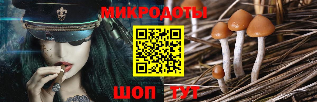Псилоцибиновые грибы Cubensis  Вход с VPN  купить наркотики сайты  Кызыл 